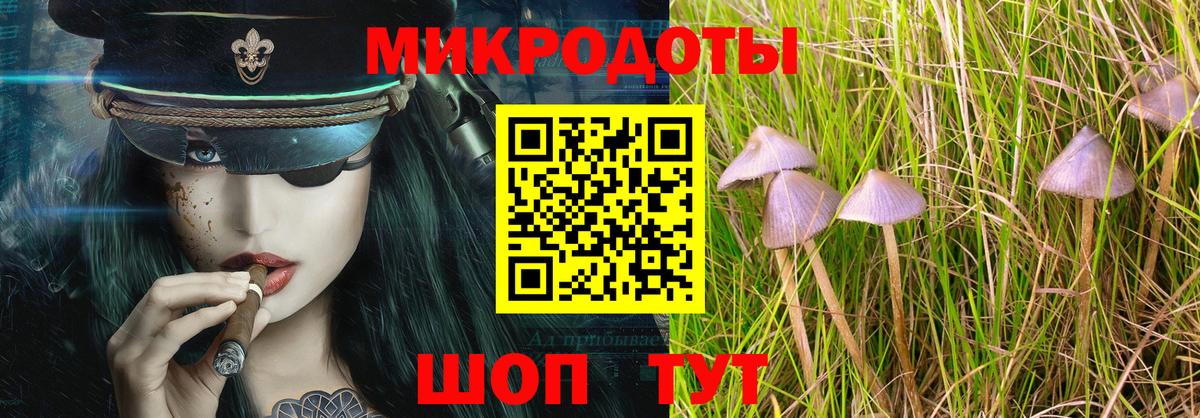 Галлюциногенные грибы MAGIC MUSHROOMS Железногорск
