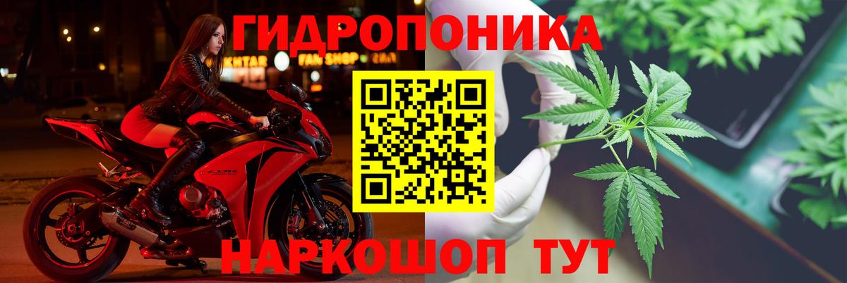 Марихуана Amnesia  Вход с VPN  Железногорск  Каннабис индика  Конопля индика 
